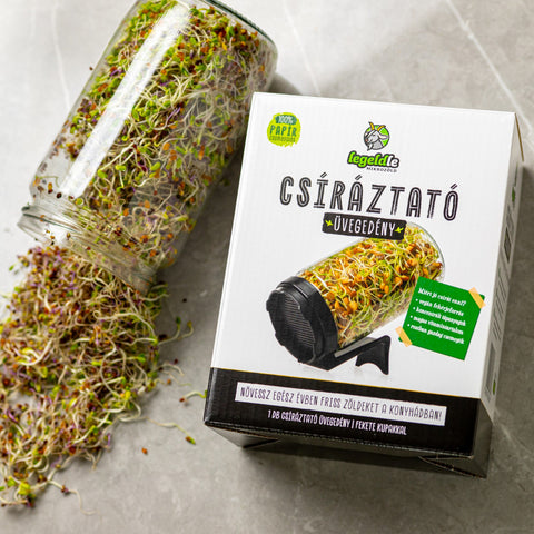 Legeldle csíráztató üvegedény, fekete színű dobozával és egy üveg, amiből ömlenek ki a csírák.