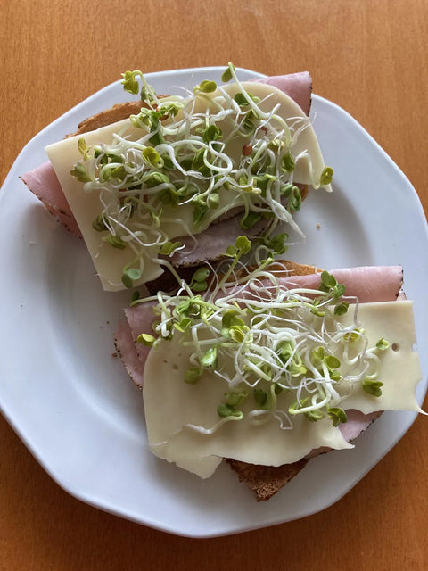 Roppanós Szendvics Csomag