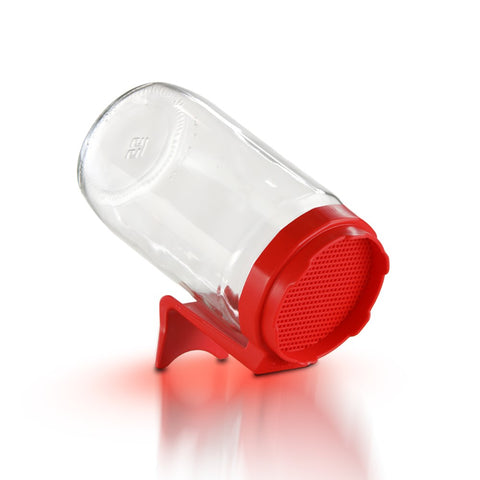 Legeldle Valentin-napi csíráztató csomag