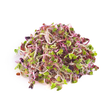 Legeldle Retek Színvarázs Csíramagkeverék