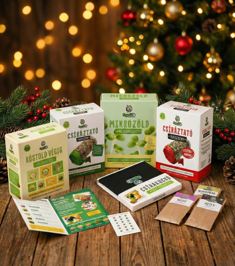 🎁 Legeldle ALL-IN Karácsonyi Csomag