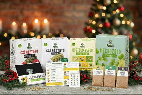 🎁 Legeldle ALL-IN Karácsonyi Csomag