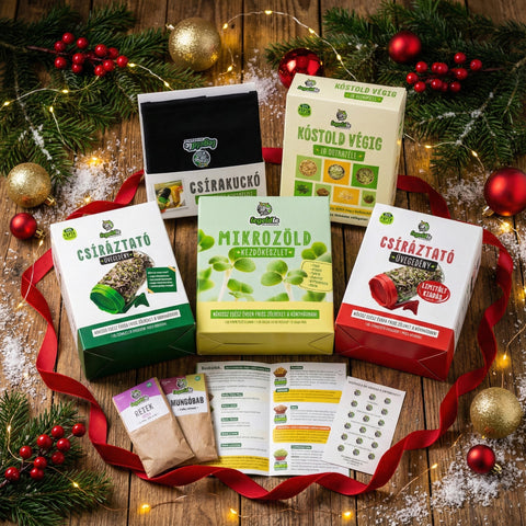 🎁 Legeldle ALL-IN Karácsonyi Csomag