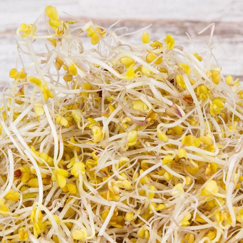 Legeldle Brokkoli Csíramag