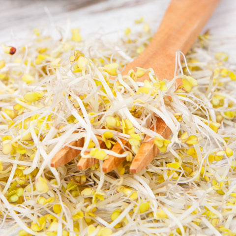 Legeldle Brokkoli Csíramag