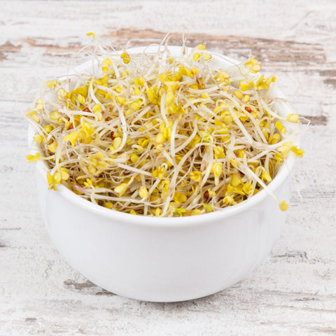 Legeldle Brokkoli Csíramag