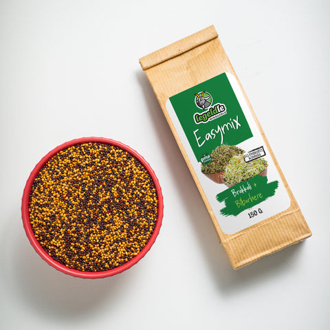 Legeldle Brokkoli Easymix Csíra Magkeverék