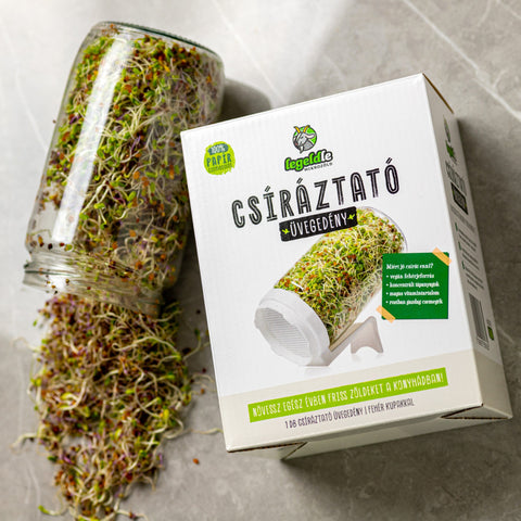 Legeldle csíráztató üvegedény, fehér színű dobozával és egy üveg, amiből ömlenek ki a csírák.