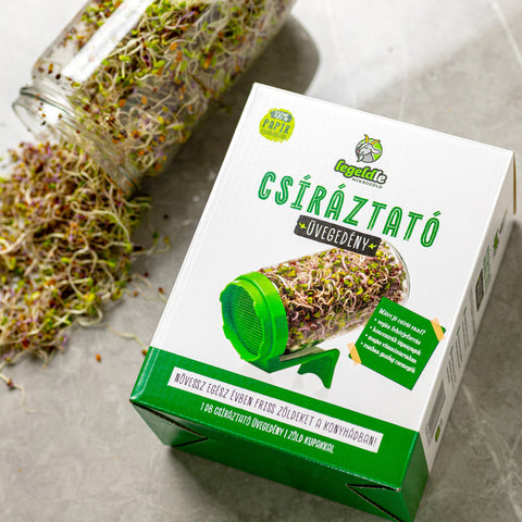 Legeldle Csíráztató Üvegedény, Zöld