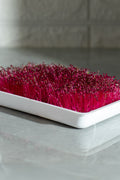 Legeldle Red Garnet Amaránt Mikrozöld Mag