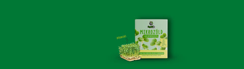 Ajándék kezdőszett