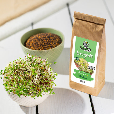 Legeldle Pak Choi Easymix Csíra Magkeverék