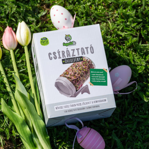 Limitált Szürke Csíráztató Üvegedény