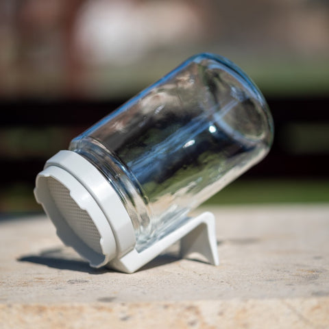 Limitált Szürke Csíráztató Üvegedény